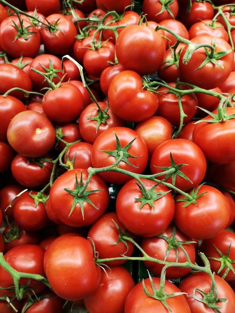 Fresh red tomatoes